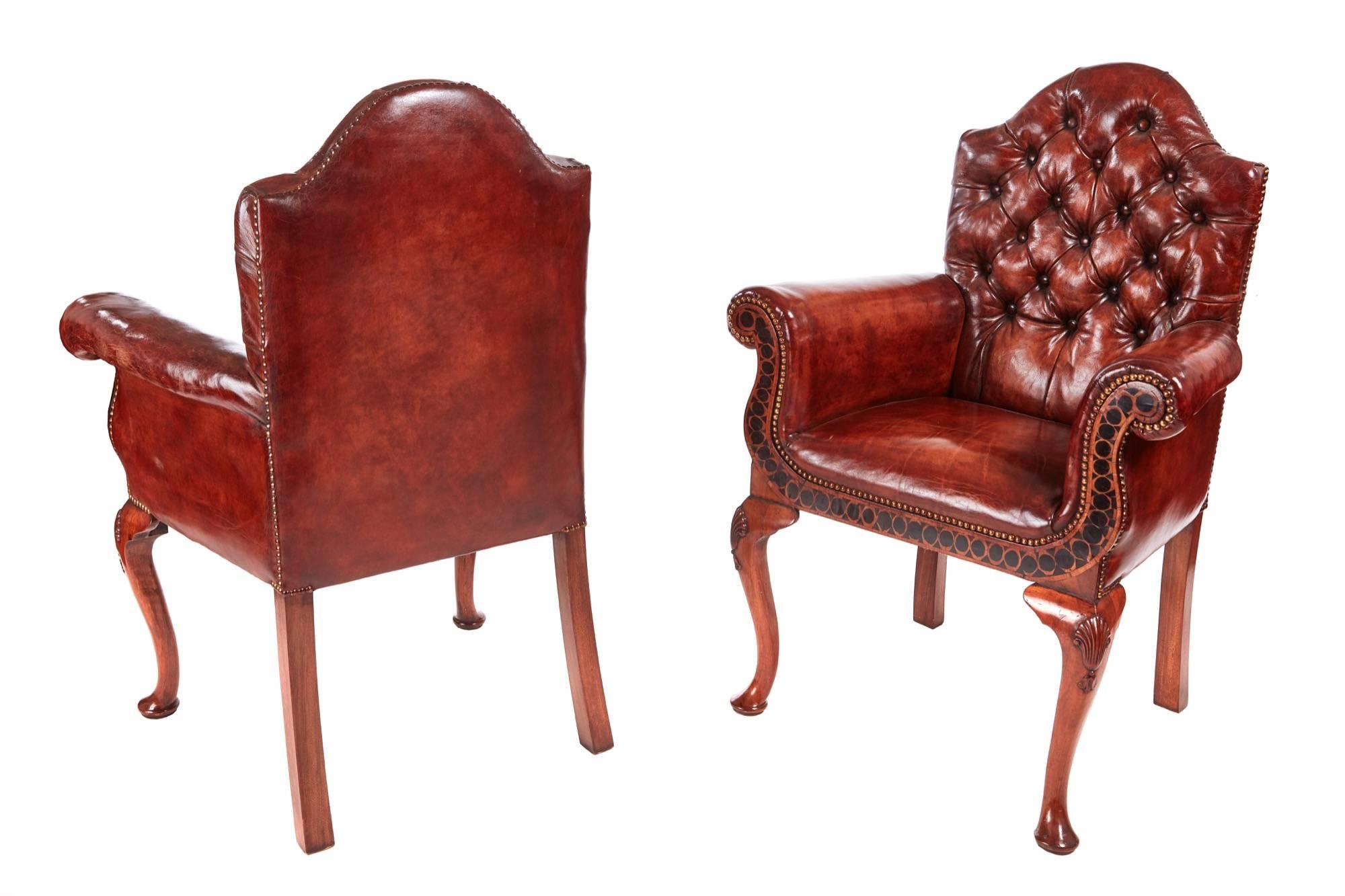 Outstanding quality pair of antique leather buttoned back library chairs, newly re-upholstered seats and deep buttoned backs, unusual shaped frieze inlaid with laburnum oyster veneers, standing on lovely carved solid walnut shaped cabriole legs with