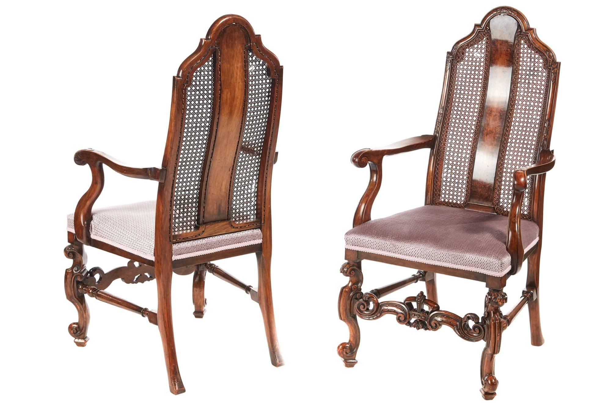 Fine set of eight antique burr walnut dining chairs, with fantastic burr walnut and bergere shaped backs, newly recovered seats, standing on fantastic shaped solid carved walnut cabriole legs to the front outswept back legs, united by turned