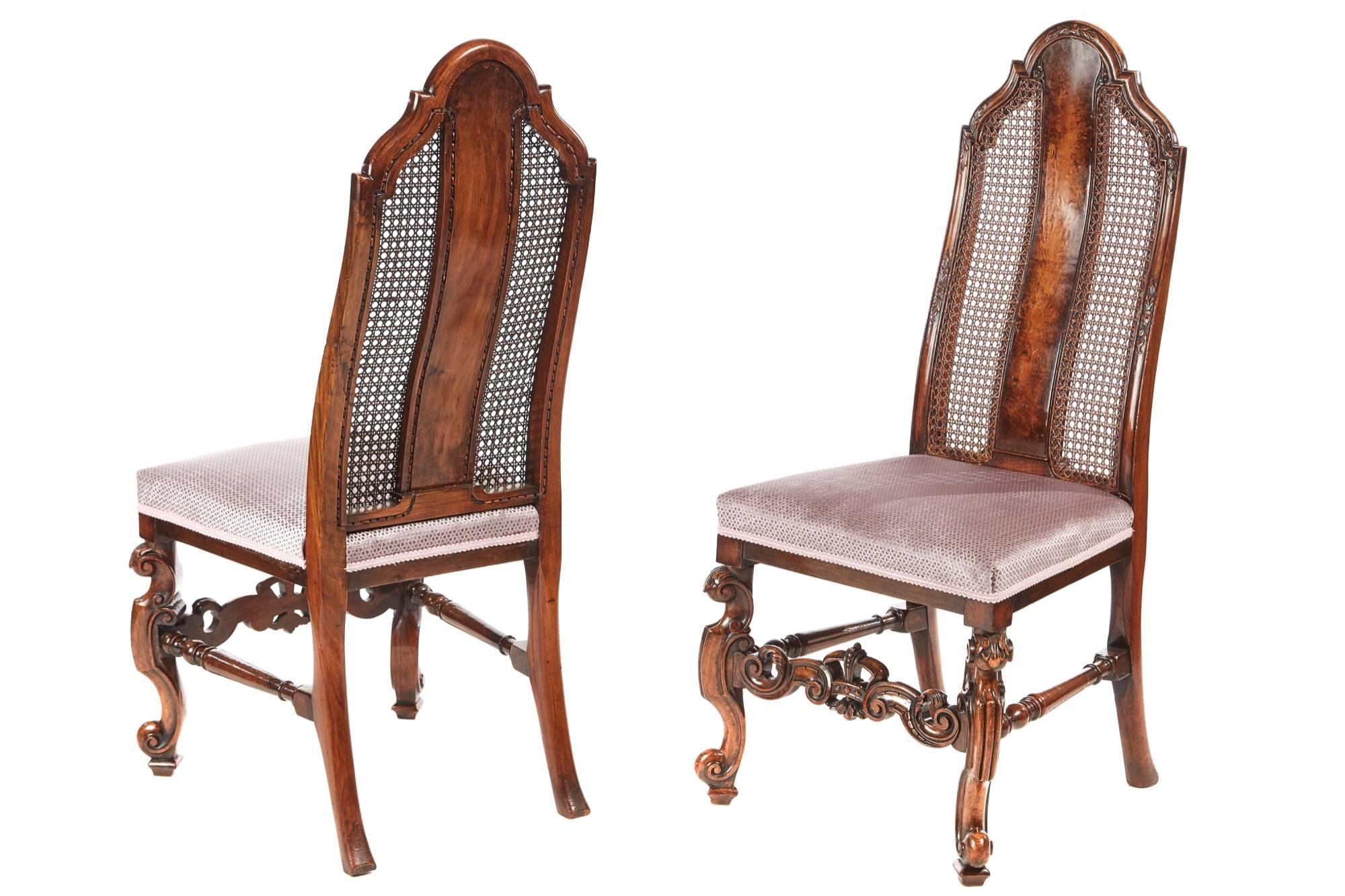 William and Mary Fine Set of Eight Antique Burr Walnut Dining Chairs