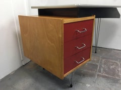 Mid-Century Modern Pastoe Writing Desk by Cees Braakman, 1950s