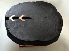 Character Coffee Table, Contemporary Modern, Wood and Copper
