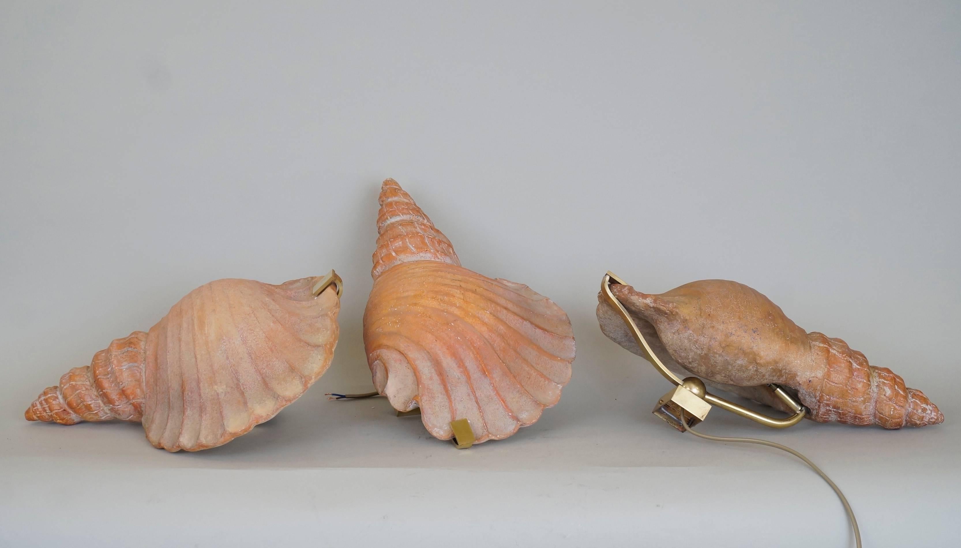 Pair of 1940s shell sconces in coral patinated plaster with a silvered reflector.
Measures: Length 40 cm
Width 24 cm.
 