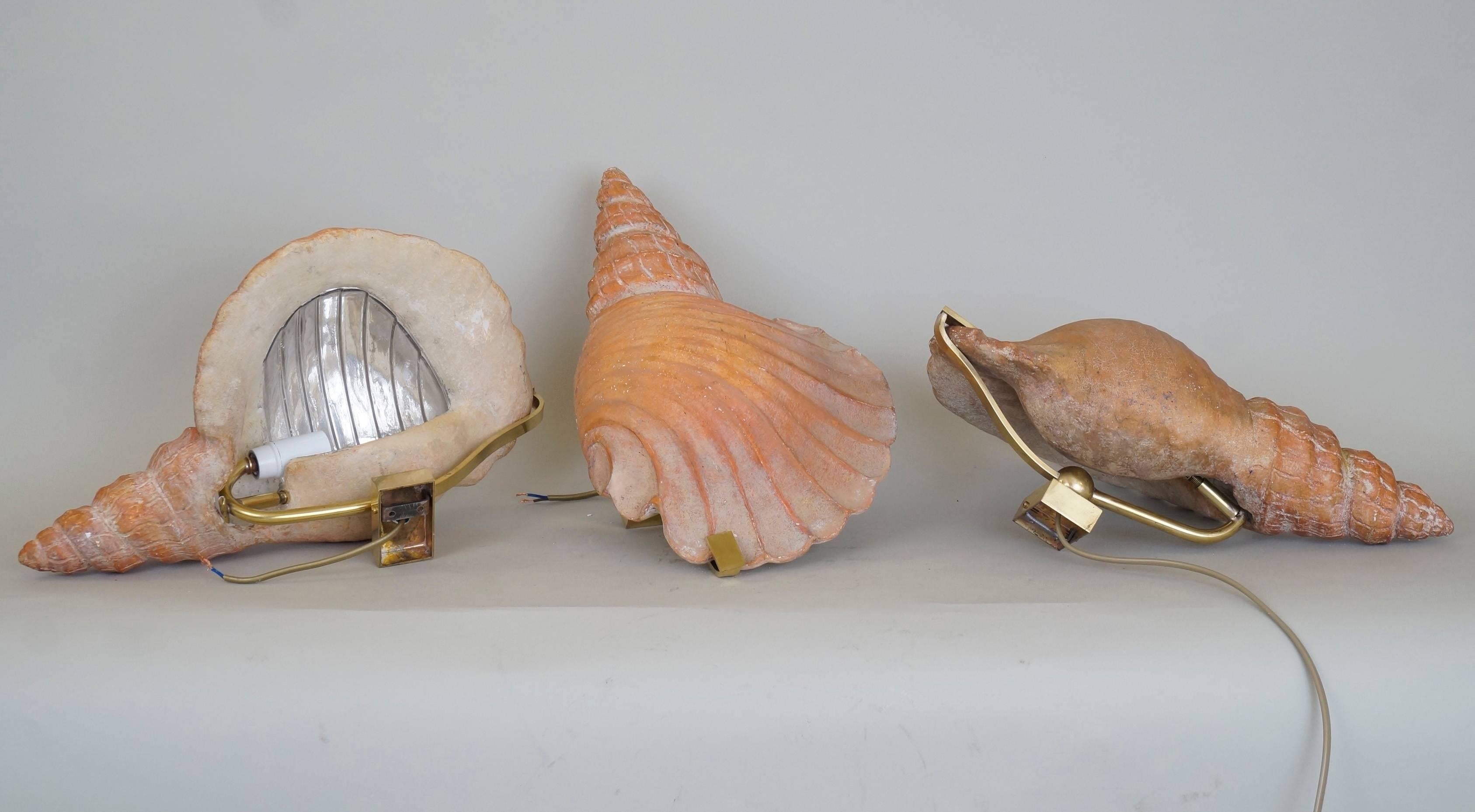 French Pair of 1940s Shell Sconces in Painted Plaster