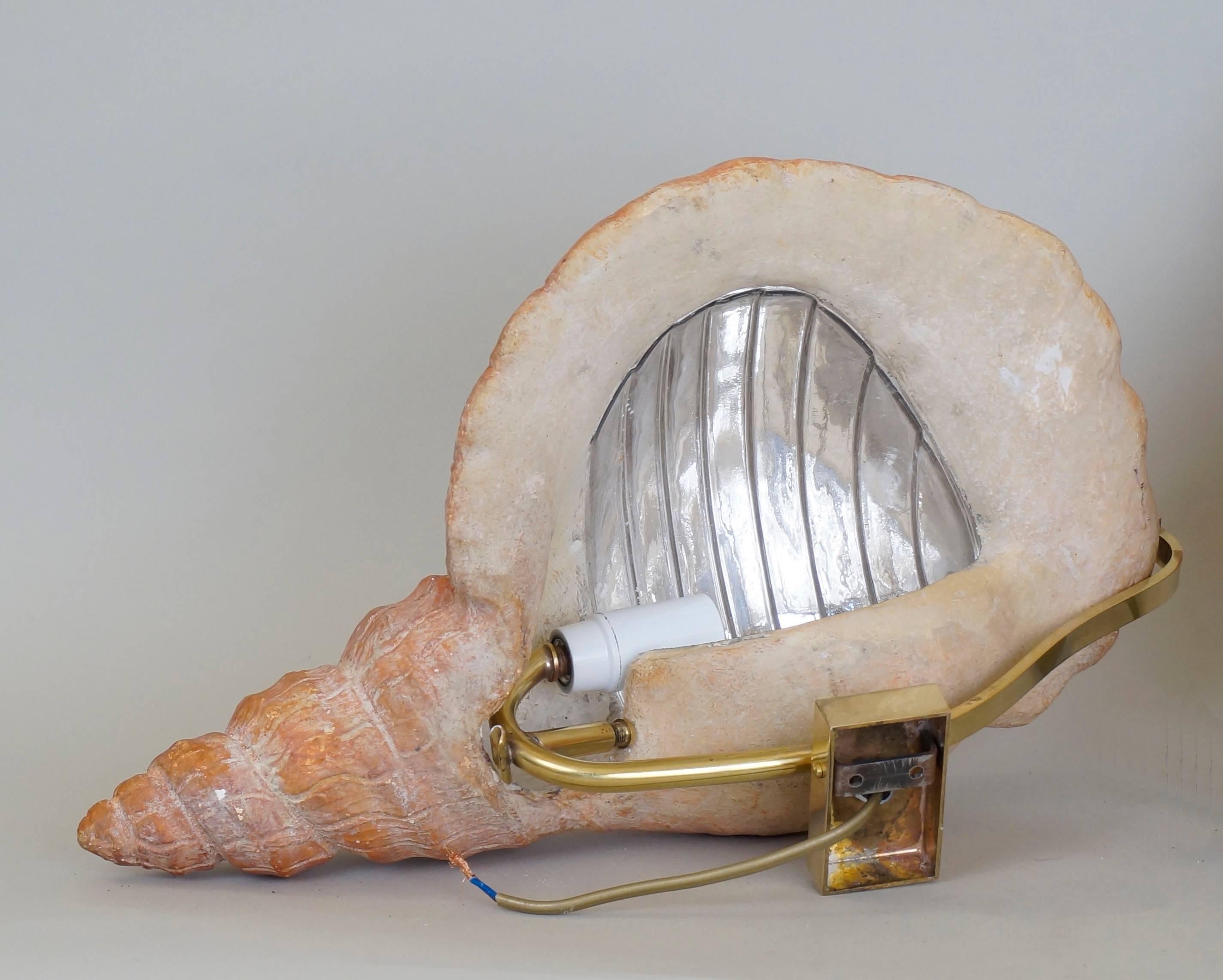 Pair of 1940s Shell Sconces in Painted Plaster In Good Condition In Paris, FR