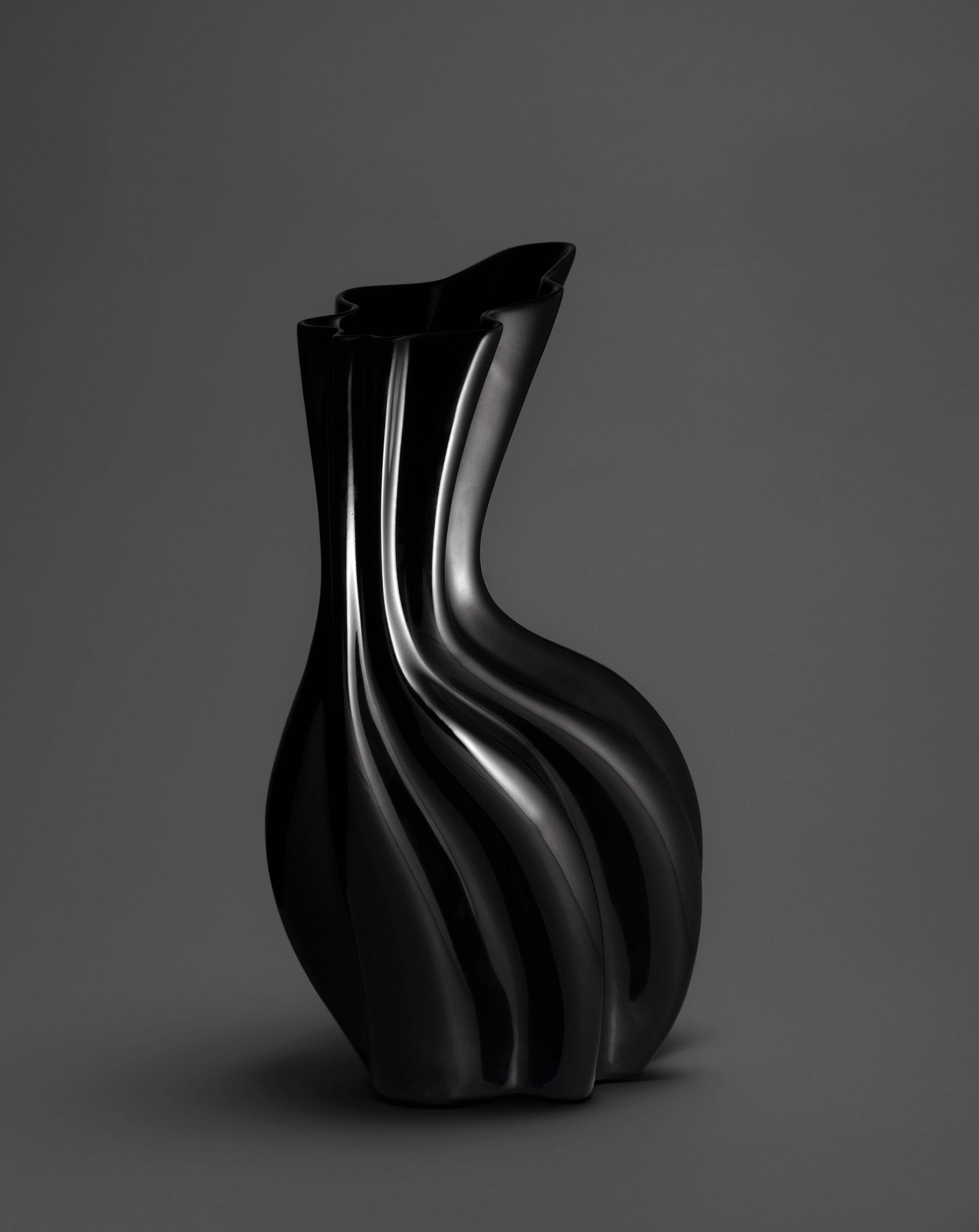 If you are looking for a vase that is more than an accessory, becoming a true piece of art in your place, then you will definitely love this Sinuo black vase.

More than a simple vase, this organic shaped vase is a perfect choice for turning any