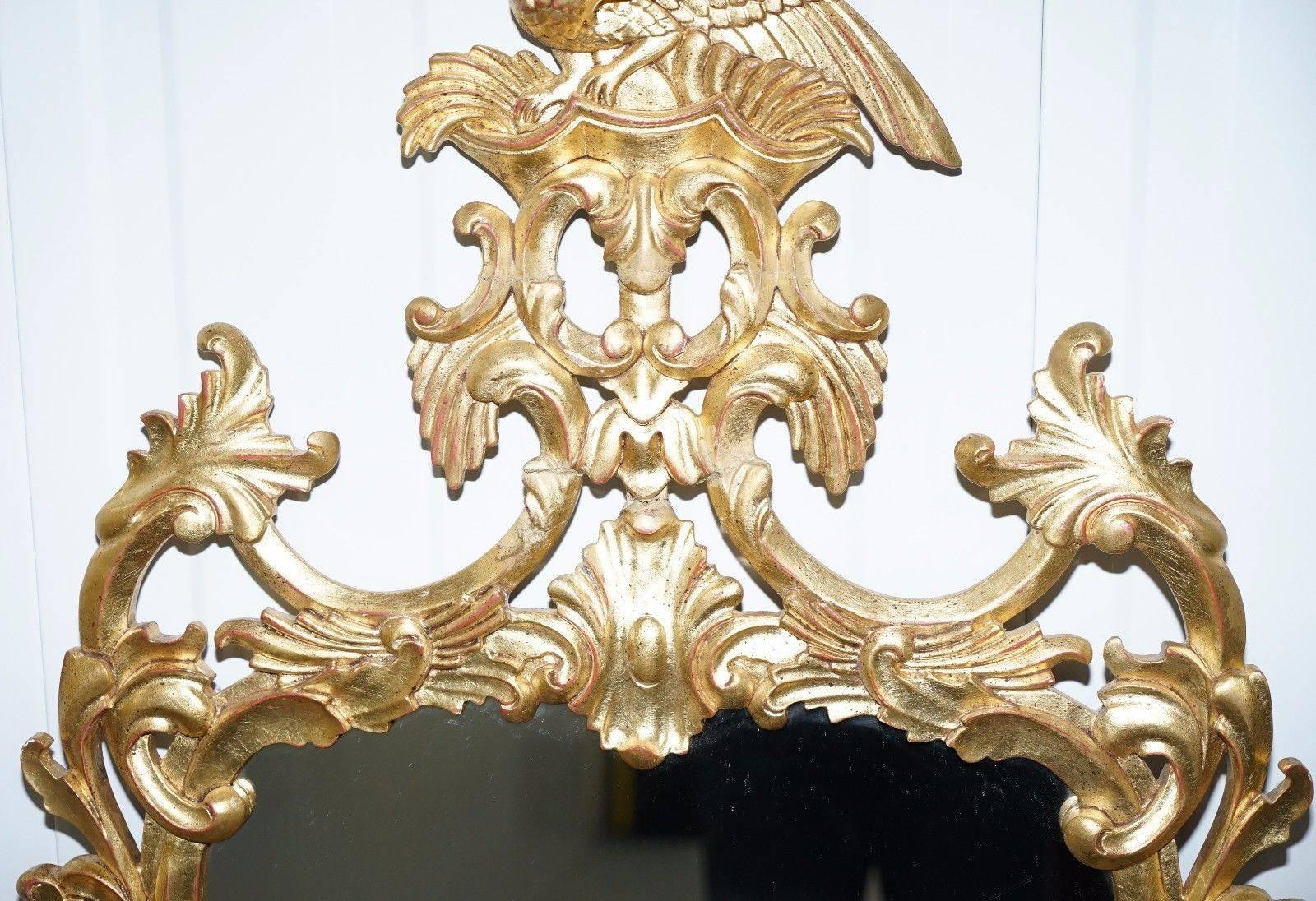 Glass Pair of Antique Chippendale Style Gold Leaf Solid Wood Hand Bird Carved Mirrors