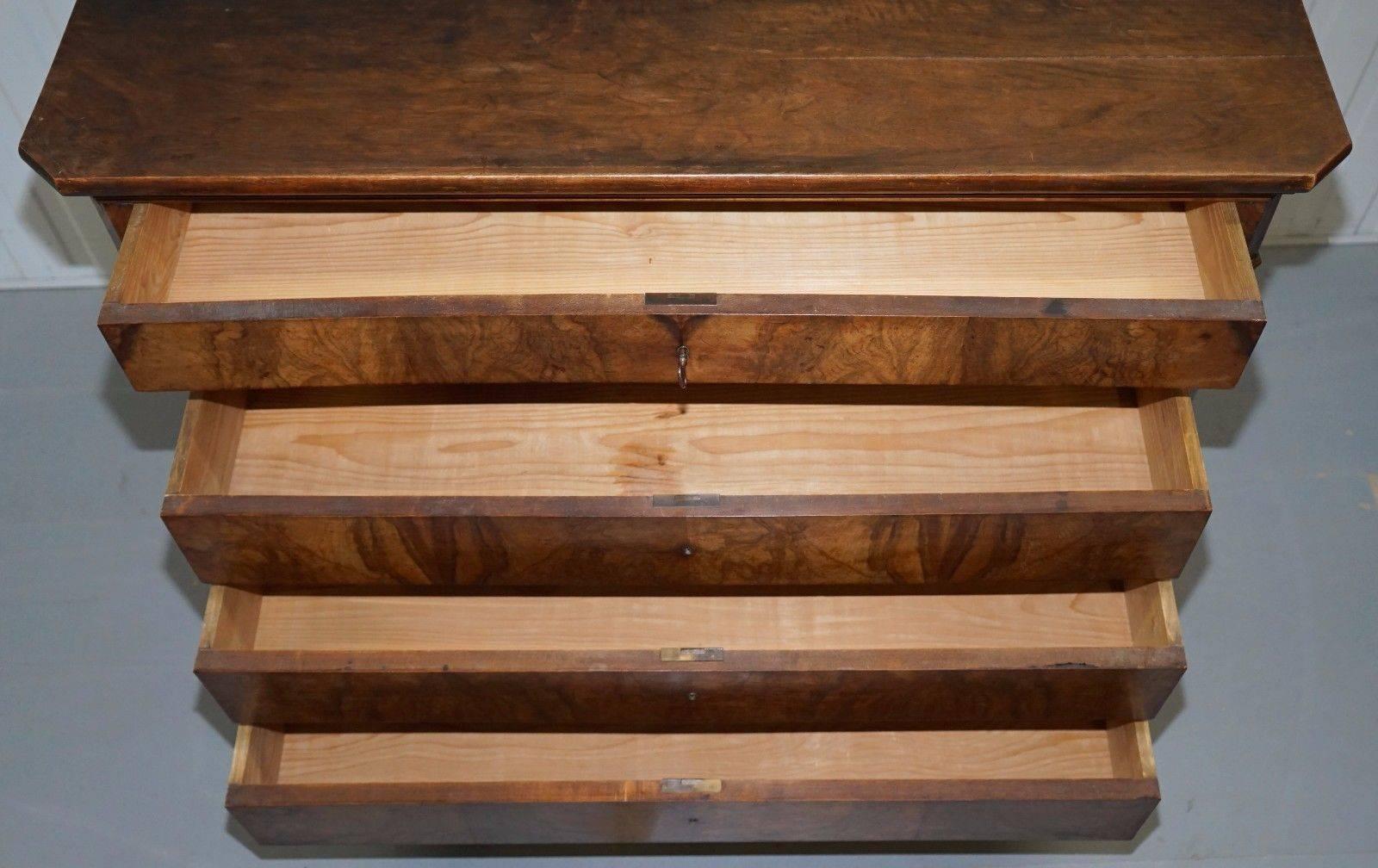 Solid Walnut Biedermeier Chest,  circa 1860 2