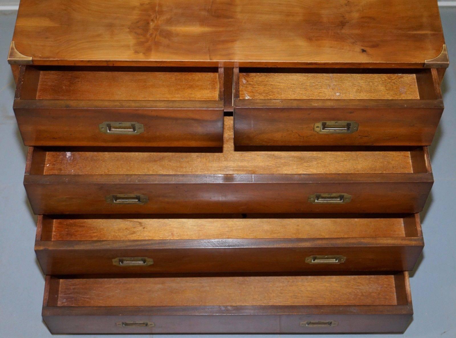 Hand-Crafted Yew Wood Veneer Military Campaign Chest of Drawers with Brass Fittings & Handles