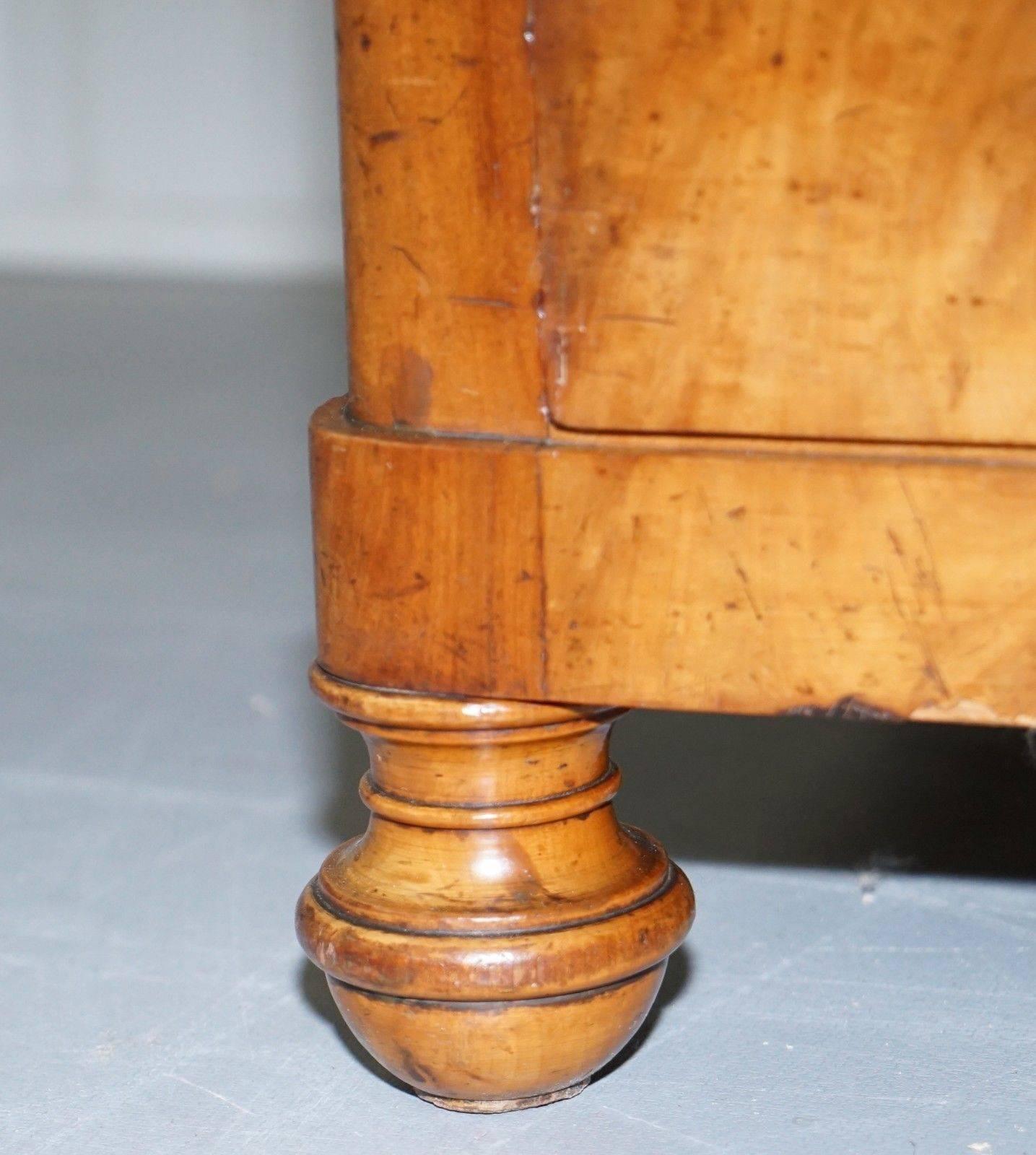 Rare Antique Swedish Biedermeier Satin Birch, circa 1840-1860 Chest of Drawers 2