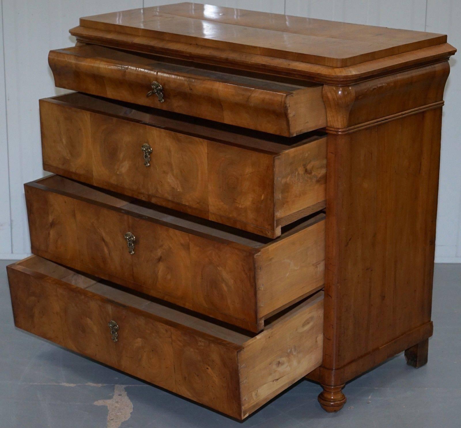 Rare Antique Swedish Biedermeier Satin Birch, circa 1840-1860 Chest of Drawers 3