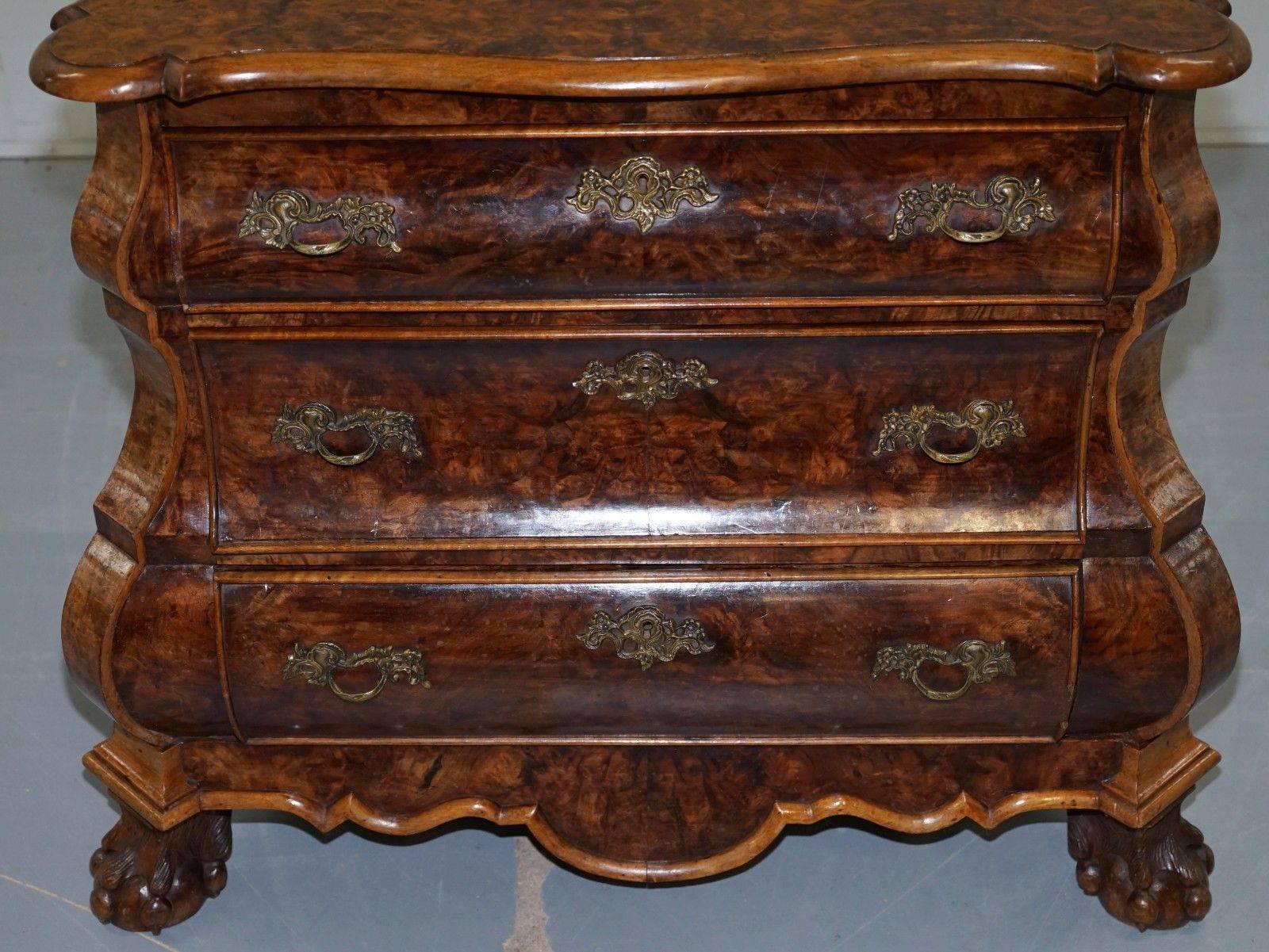 Hand-Carved Rare Dutch Burr Walnut Bombe Chest of Drawers Hairy Claw & Ball Feet, circa 1840