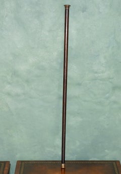 IMPORTANT MARY ROSE SHiPWRECK 1840 RELIC OAK & GUNMETAL WALKING STICK CANE