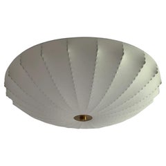 Mid-Century Modern Chandeliers and Pendants