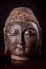 Male Shakyamuni Stones Carved Buddha Heads