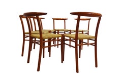 Rare and Unusual Set of Philippe Starck Aleph Tessa Nature Chairs for Driade