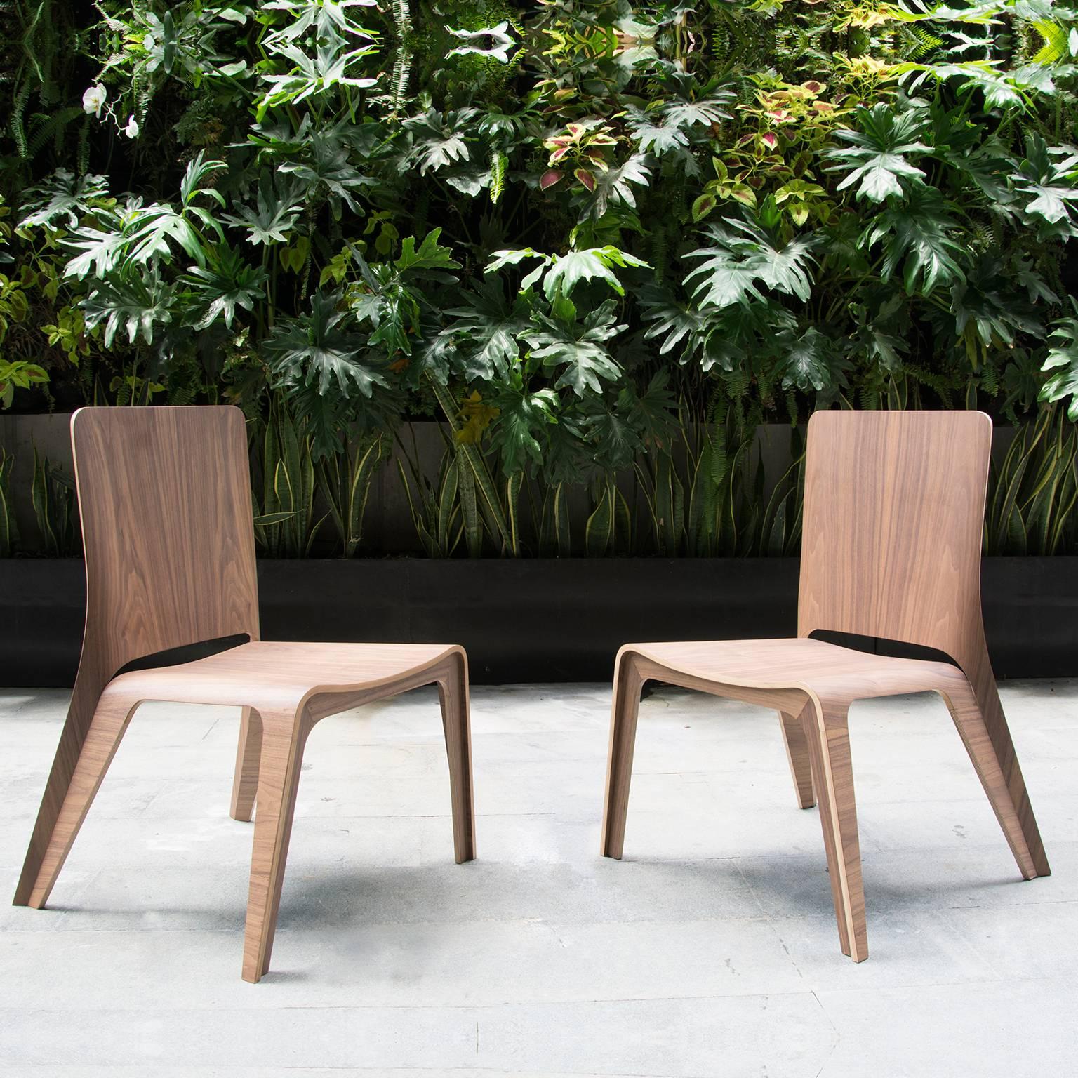  Lightweight Bentwood Stacking Dinning Chair (21. Jahrhundert und zeitgenössisch) im Angebot