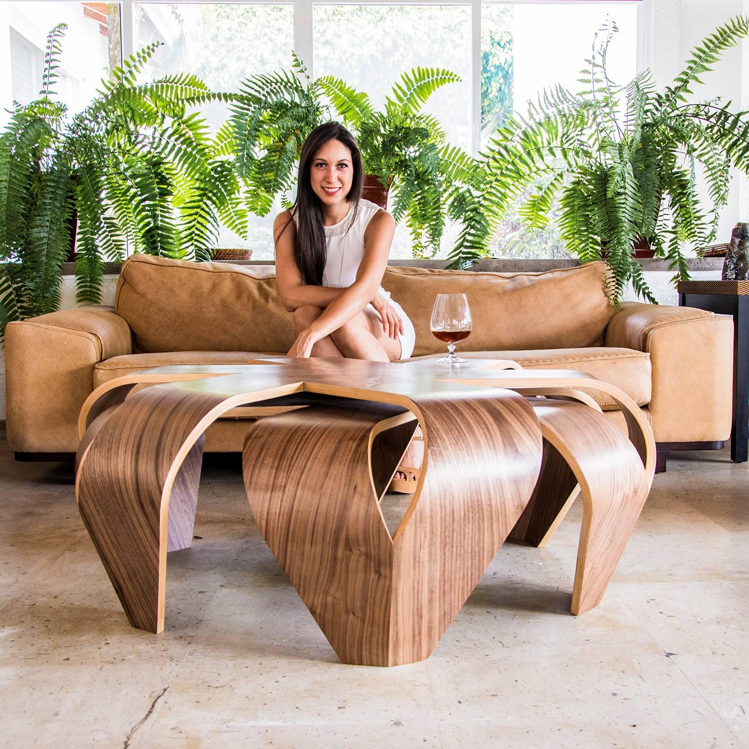 Mexican Contemporary Coffee Table For Sale