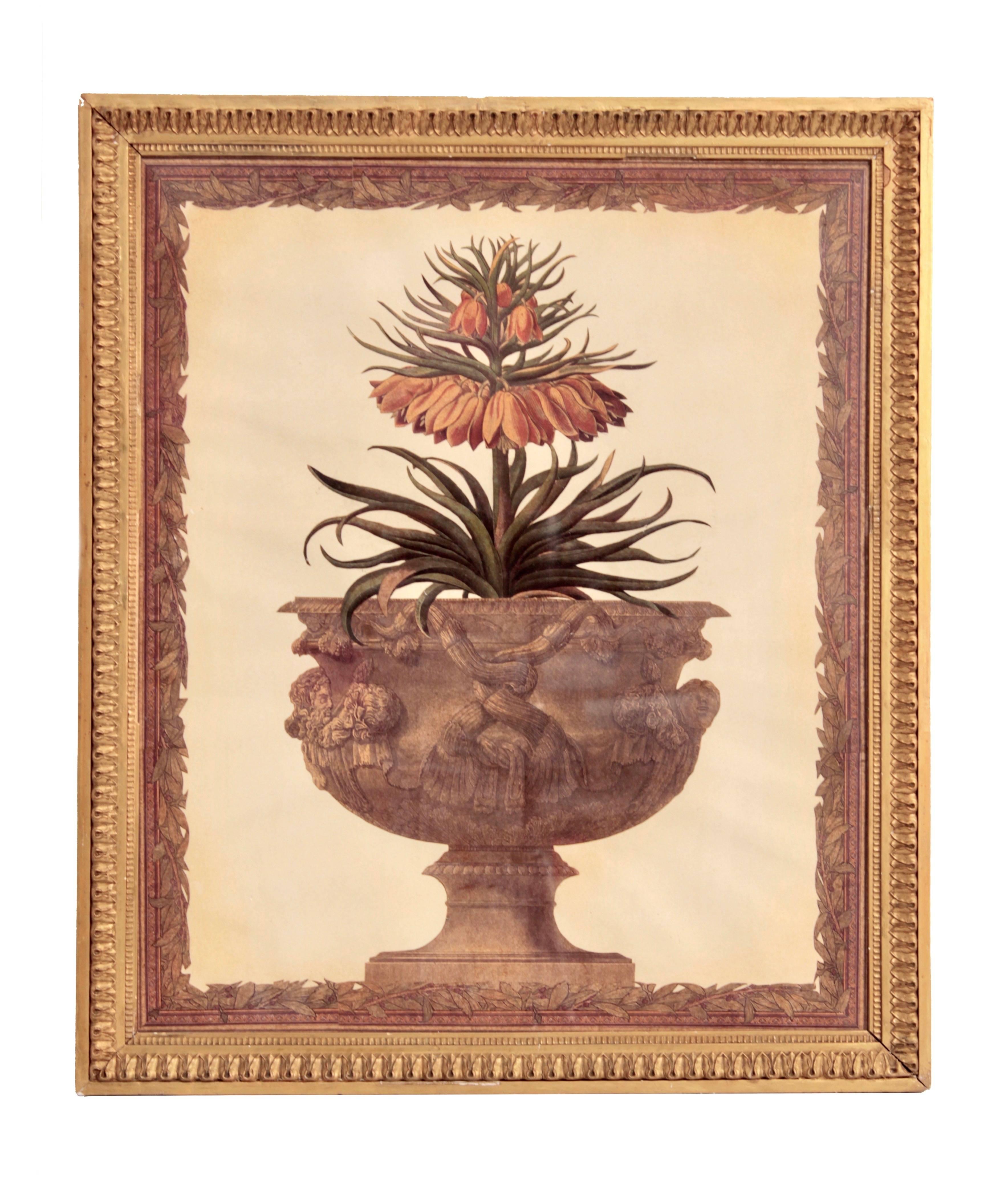 French Pair of Flower Compositions, France, 19th Century For Sale