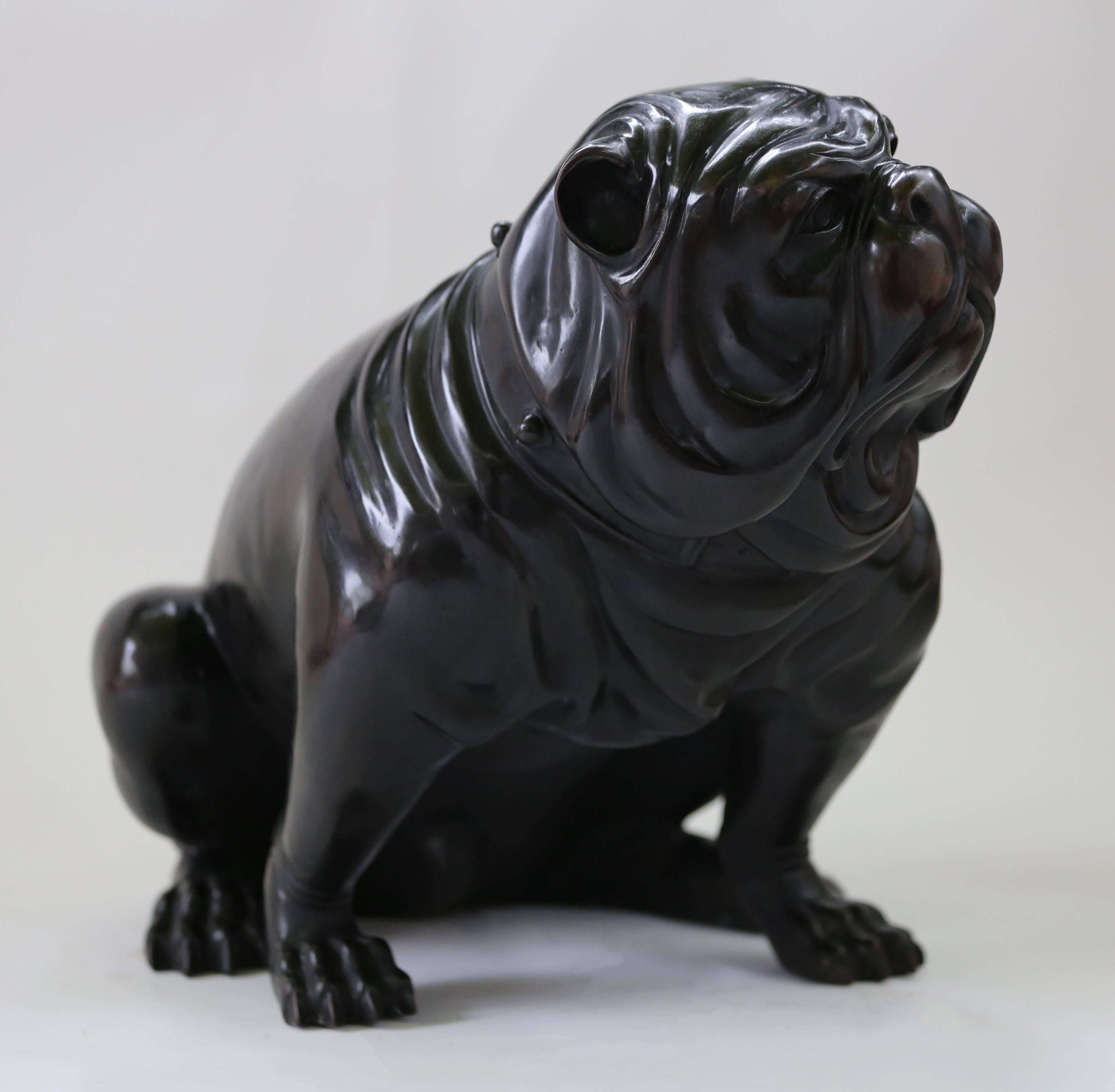 Stunning vintage bronze real size English bulldog sculpture
Very good manufacture, beautiful bronze quality and stunning details.
 