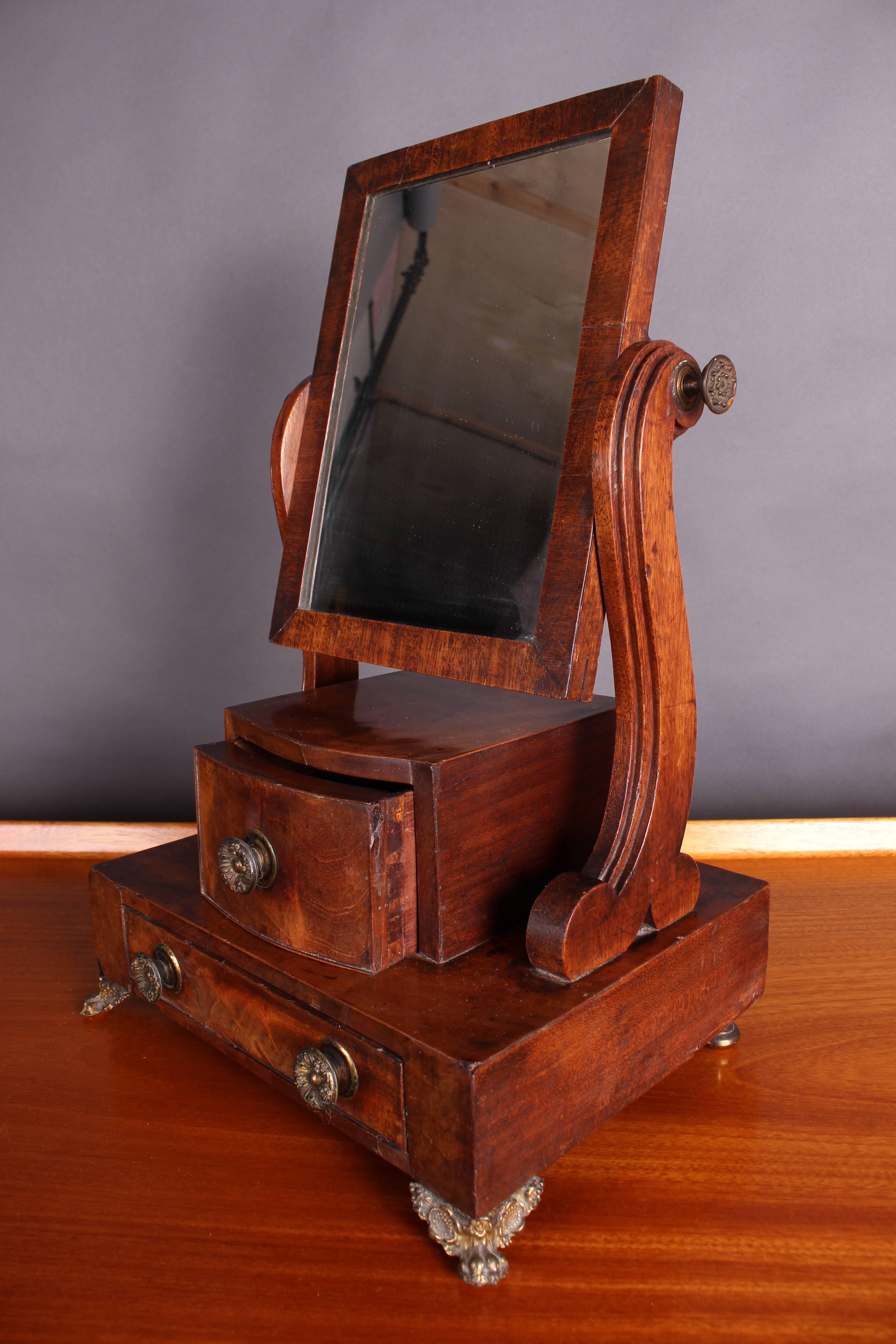 19th Century Mahogany Swing Mirror on Brass Feet 1