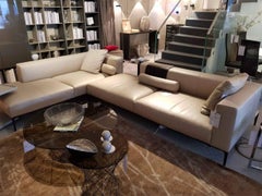 Sofa "Jaan Living" by Manufacturer Walter Knoll in Beige Genuine Leather
