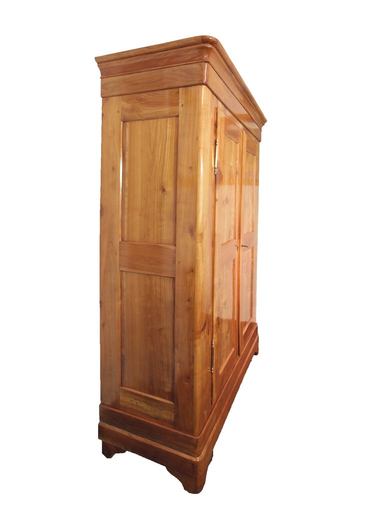 19th Century Biedermeier Cherrywood Wardrobe from Germany For Sale at