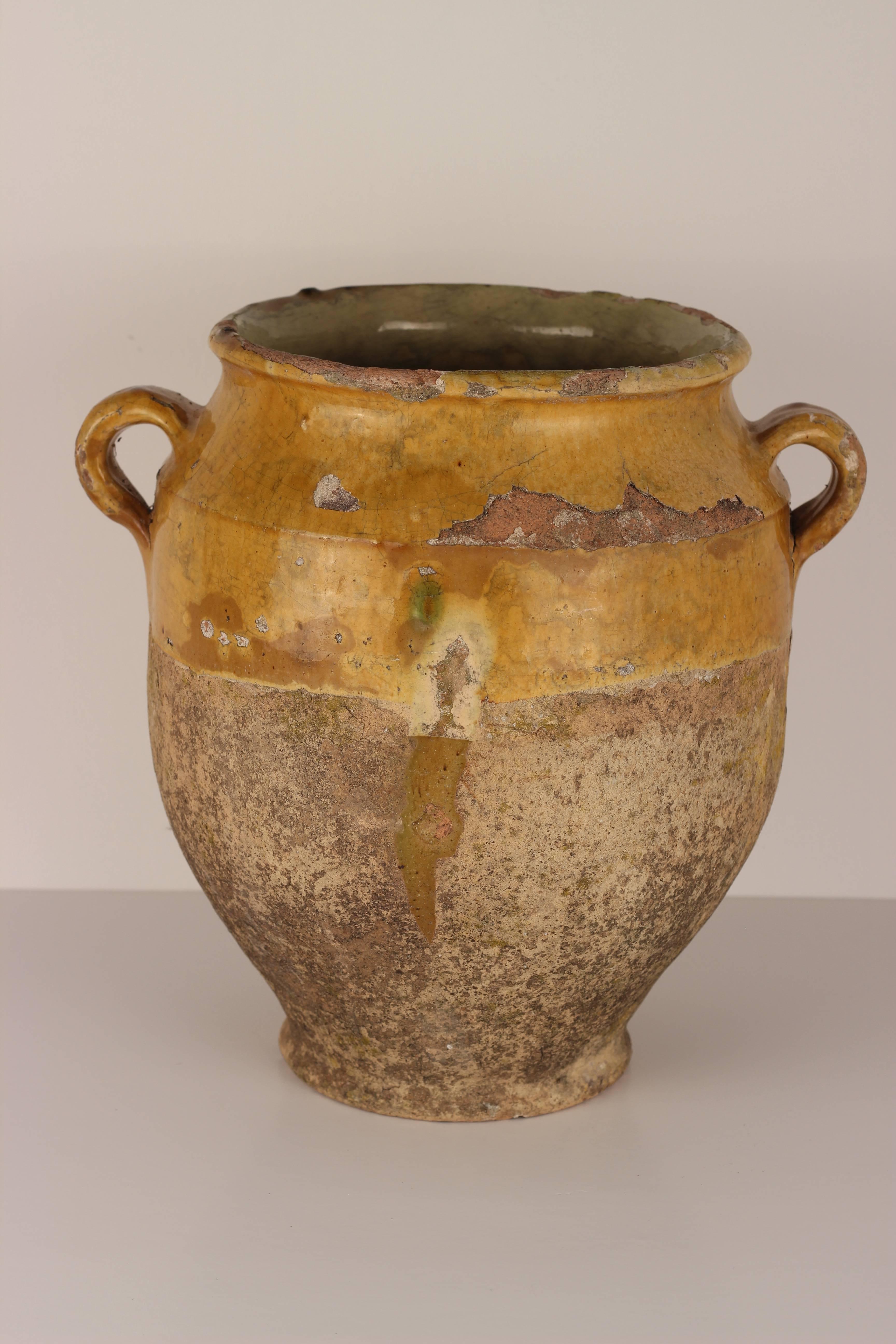Decorative Confit Pot from the South of France, 19th Century 2