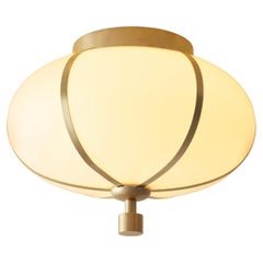 Konekt Rib Flush Mount - Small Ellipse in Satin Brass
