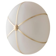 Konekt Rib Sconce - Large Ellipse in Satin Brass