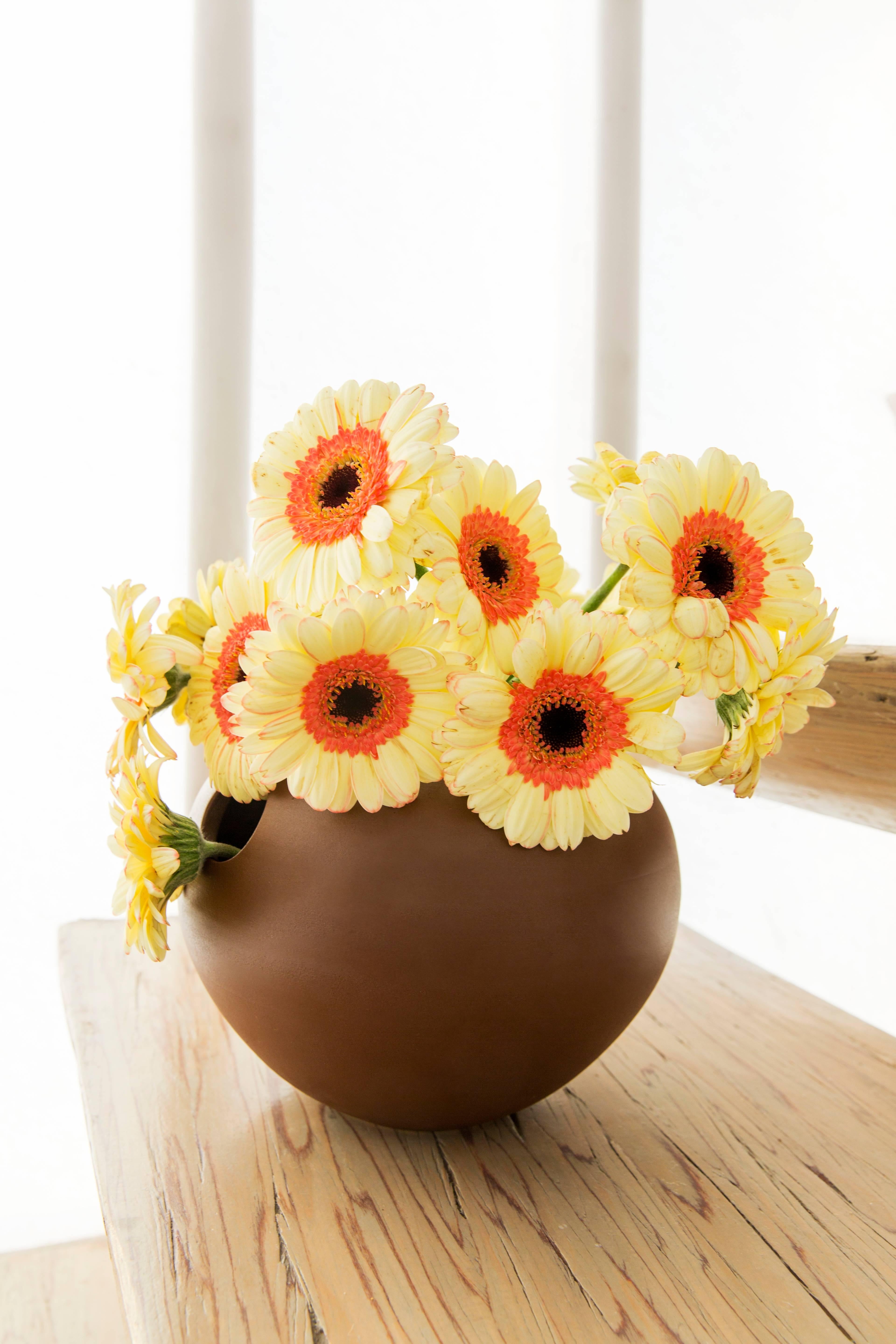 The Flora ceramics are cleverly designed to make arranging your flowers easy. So simple you can't mess this up. Pretty. Modern. Call it pretty modern.