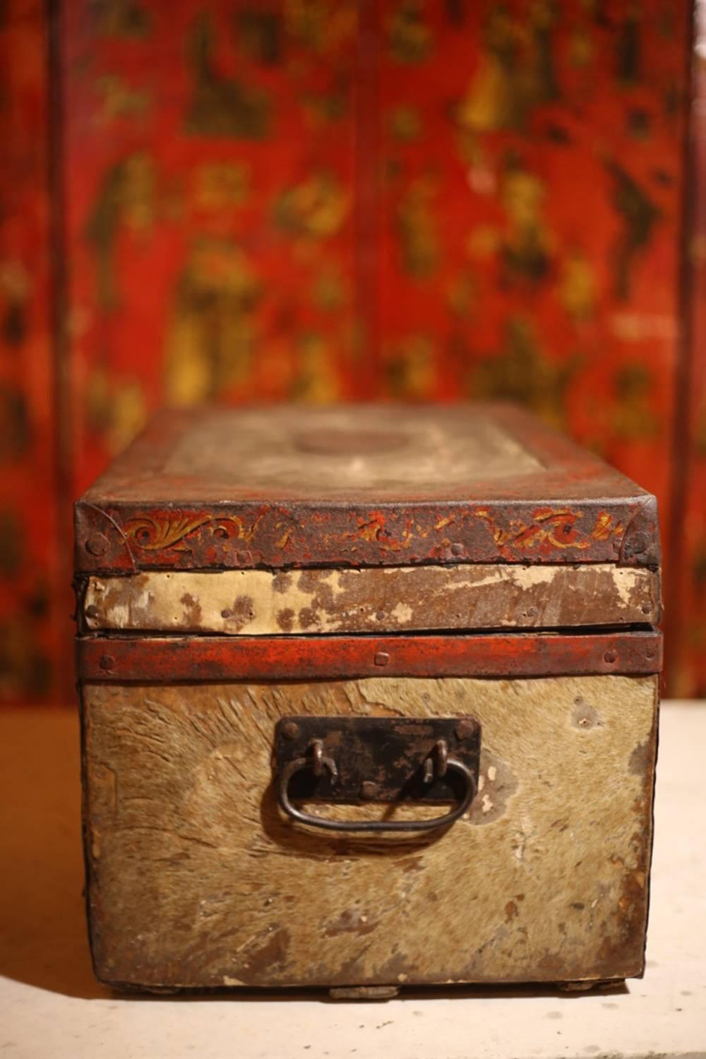 Rare 19th Century Painted Pony Hide Trunk 2