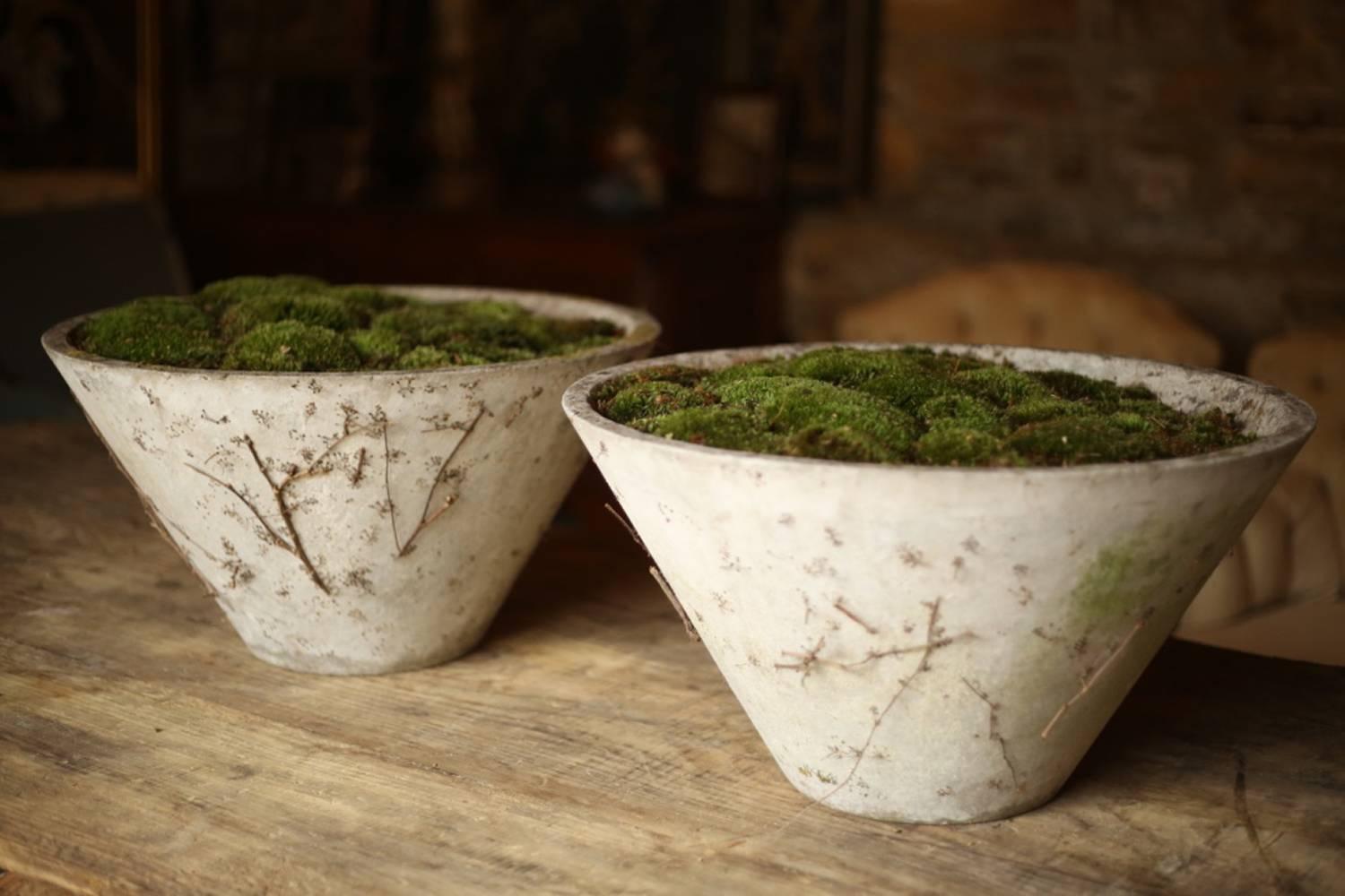 Pair of Mid-20th Century Willy Guhl Cone Planters 1