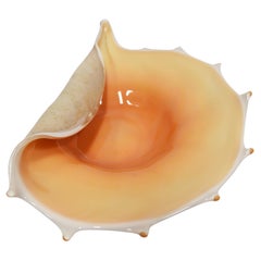 Großformatige GLASS BOWL in SHELL-Form