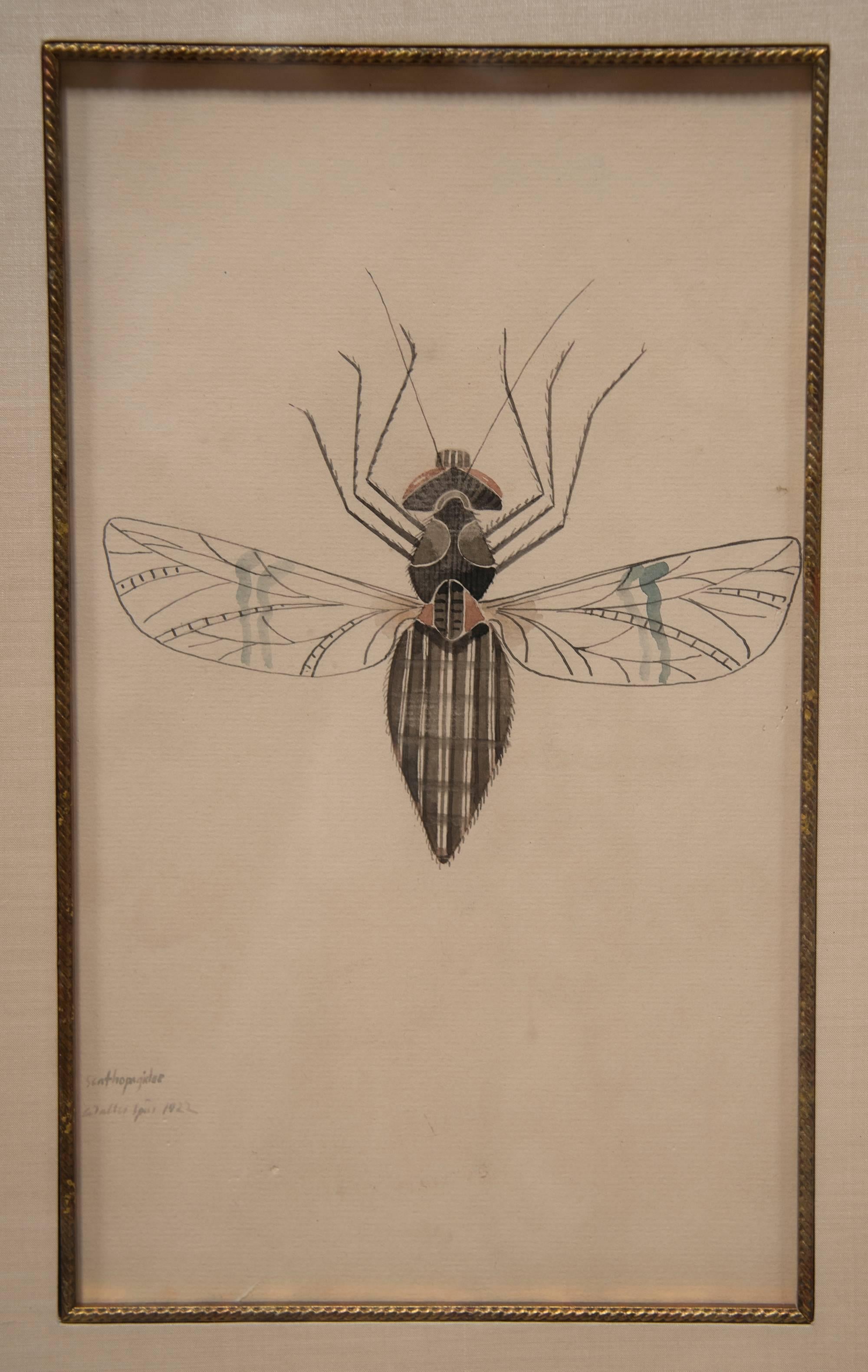 WALTER SPIES WATERCOLOURS [SET OF 4 Insektenzeichnungen] (20. Jahrhundert) im Angebot