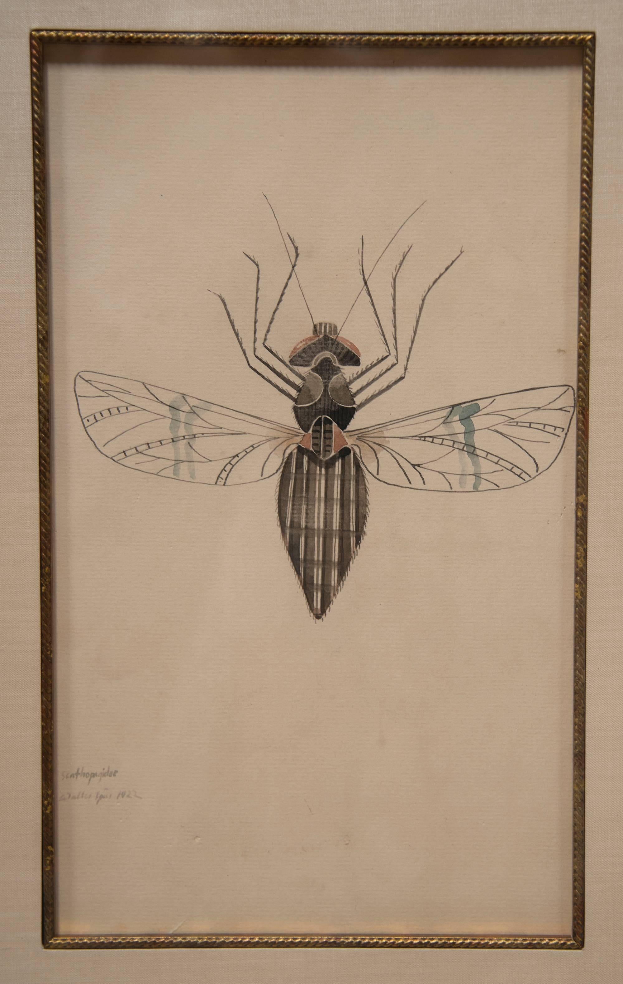 WALTER SPIES Insect Studies WATERCOLORS – Set of 4 In Good Condition For Sale In Hawthorne, CA