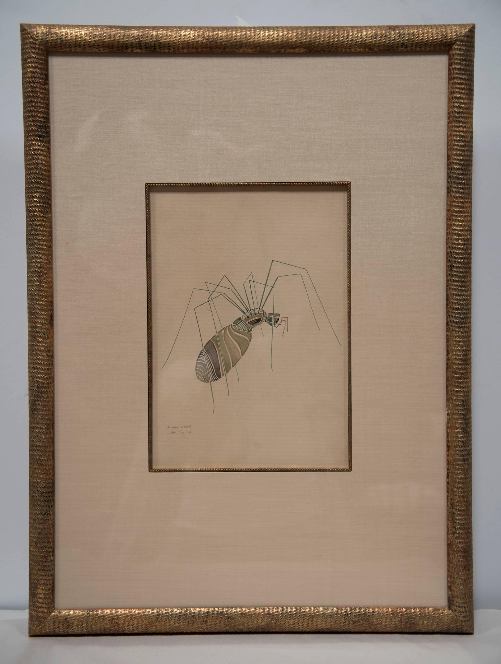 Mid-Century Modern WALTER SPIES WATERCOLOURS [SET OF 4 Insect Drawings] For Sale