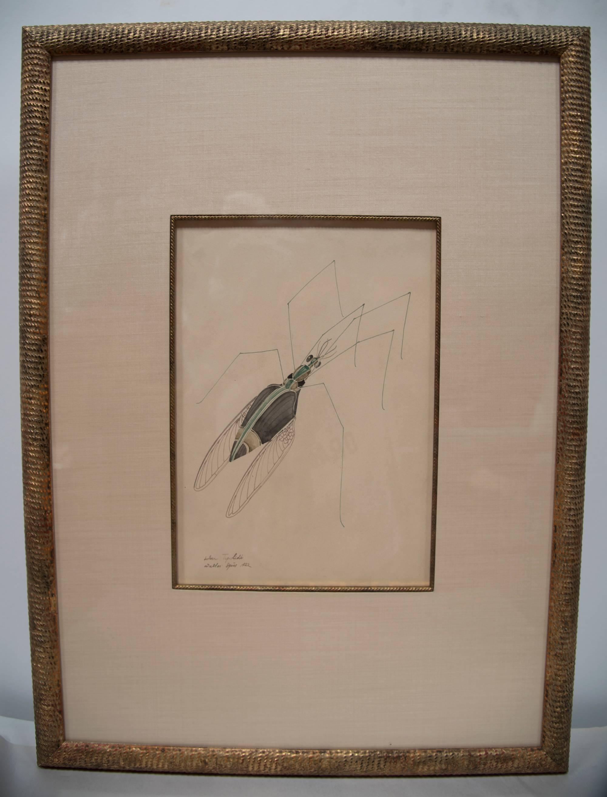 American WALTER SPIES WATERCOLOURS [SET OF 4 Insect Drawings] For Sale