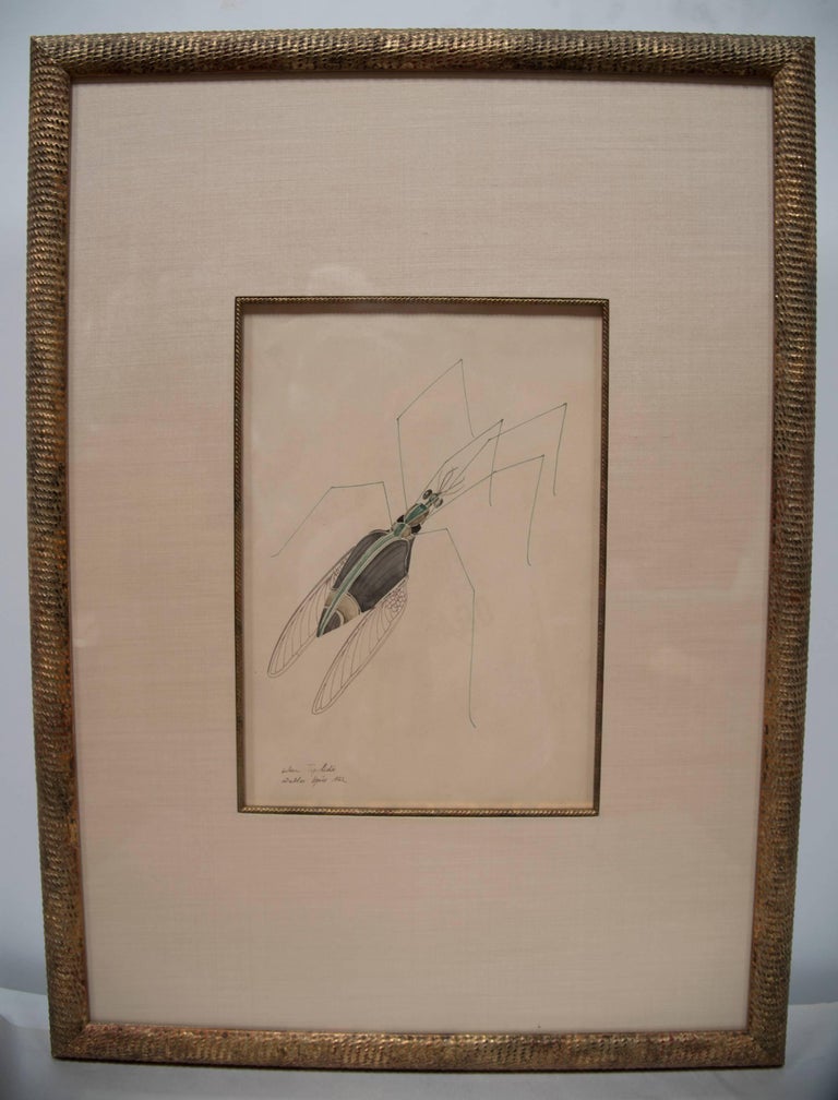 WALTER SPIES Insect Watercolour Paintings [Set of 4] In Excellent Condition For Sale In Hawthorne, CA
