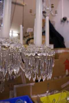 Antique Regency Chandelier with 18 Lights and Unique Hand-Cut Dish