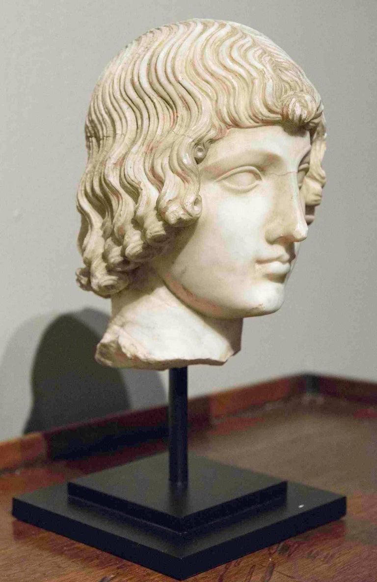 16th Century Italian Marble Head of a Young Man For Sale at 1stDibs