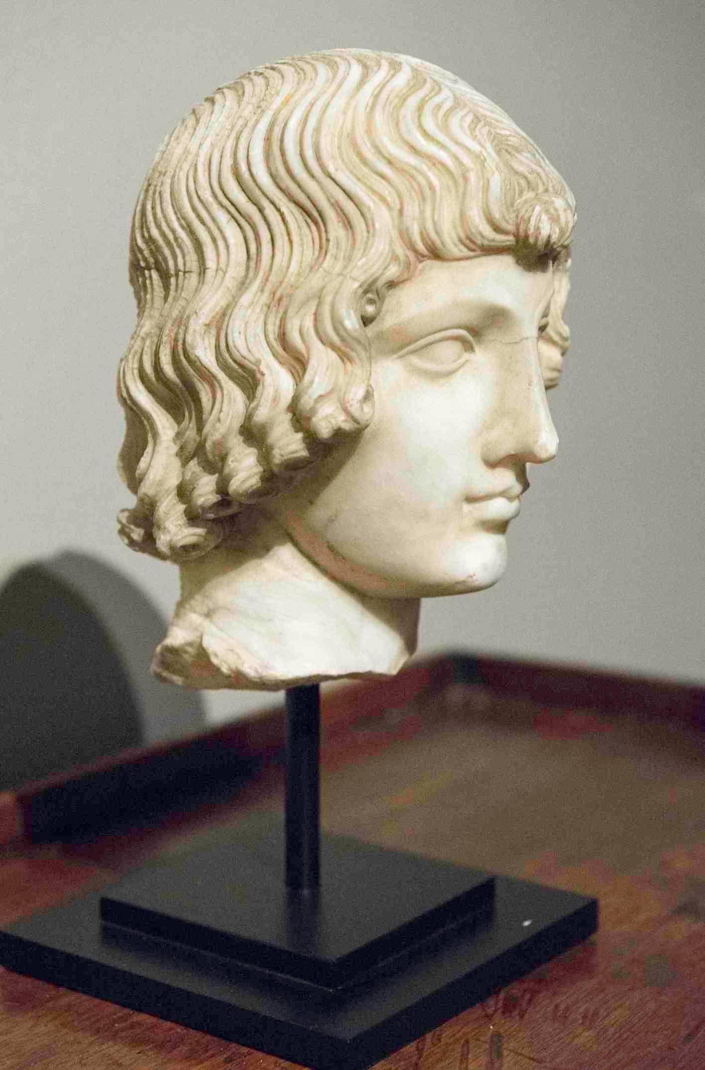 Renaissance 16th Century Italian Marble Head of a Young Man For Sale