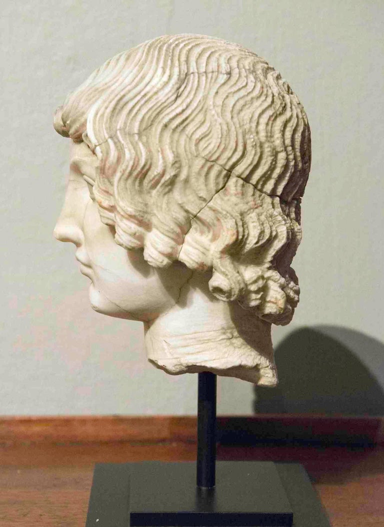 16th Century Italian Marble Head of a Young Man For Sale at 1stDibs
