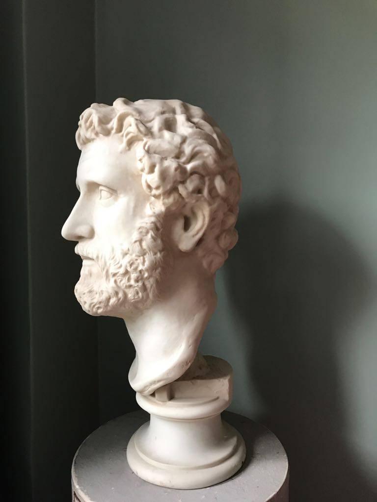 busts of roman emperors