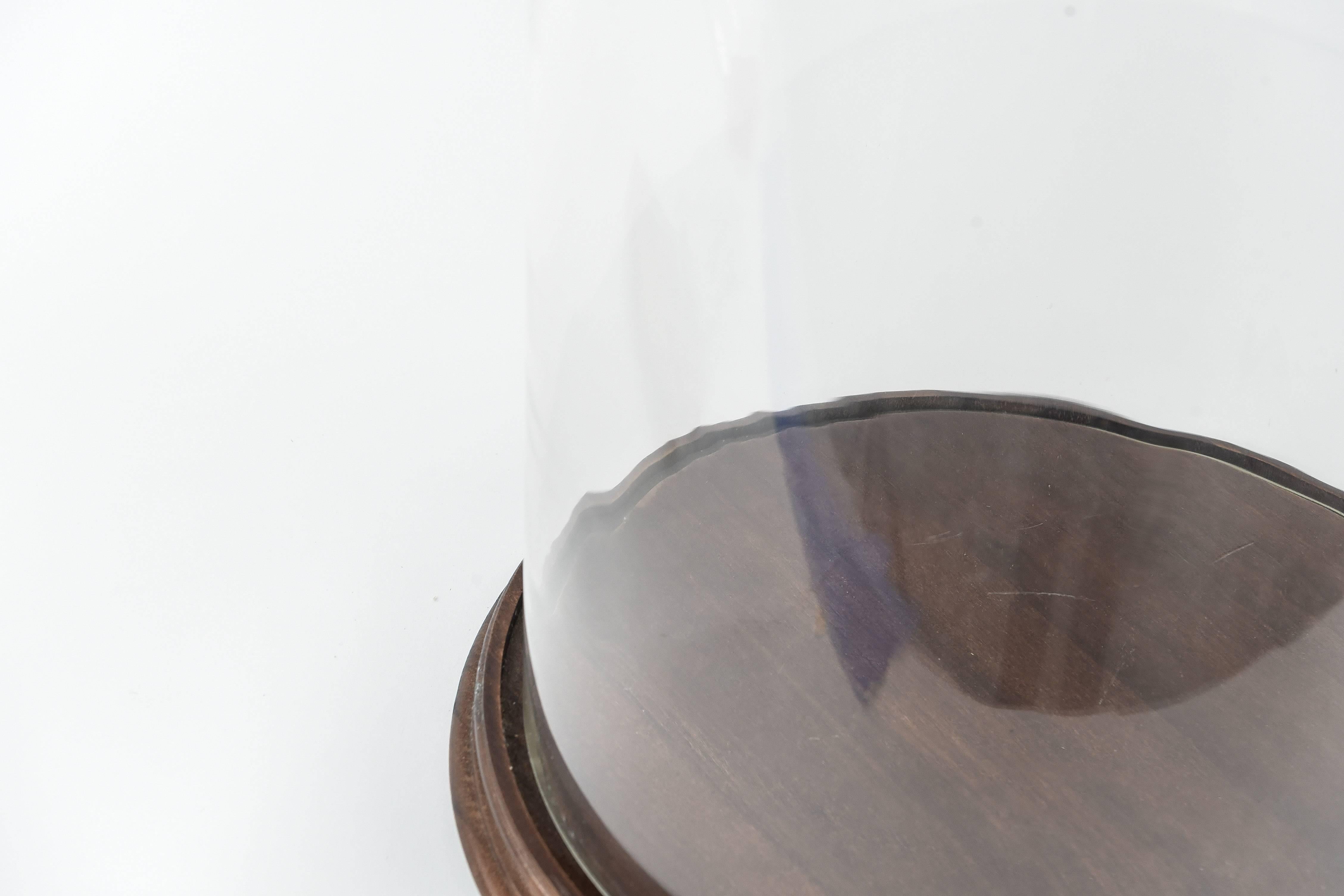 Antique Glass Dome Display Case at 1stDibs victorian glass dome