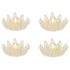 Barovier & Toso Rare Set of Four Clamshell Sconces