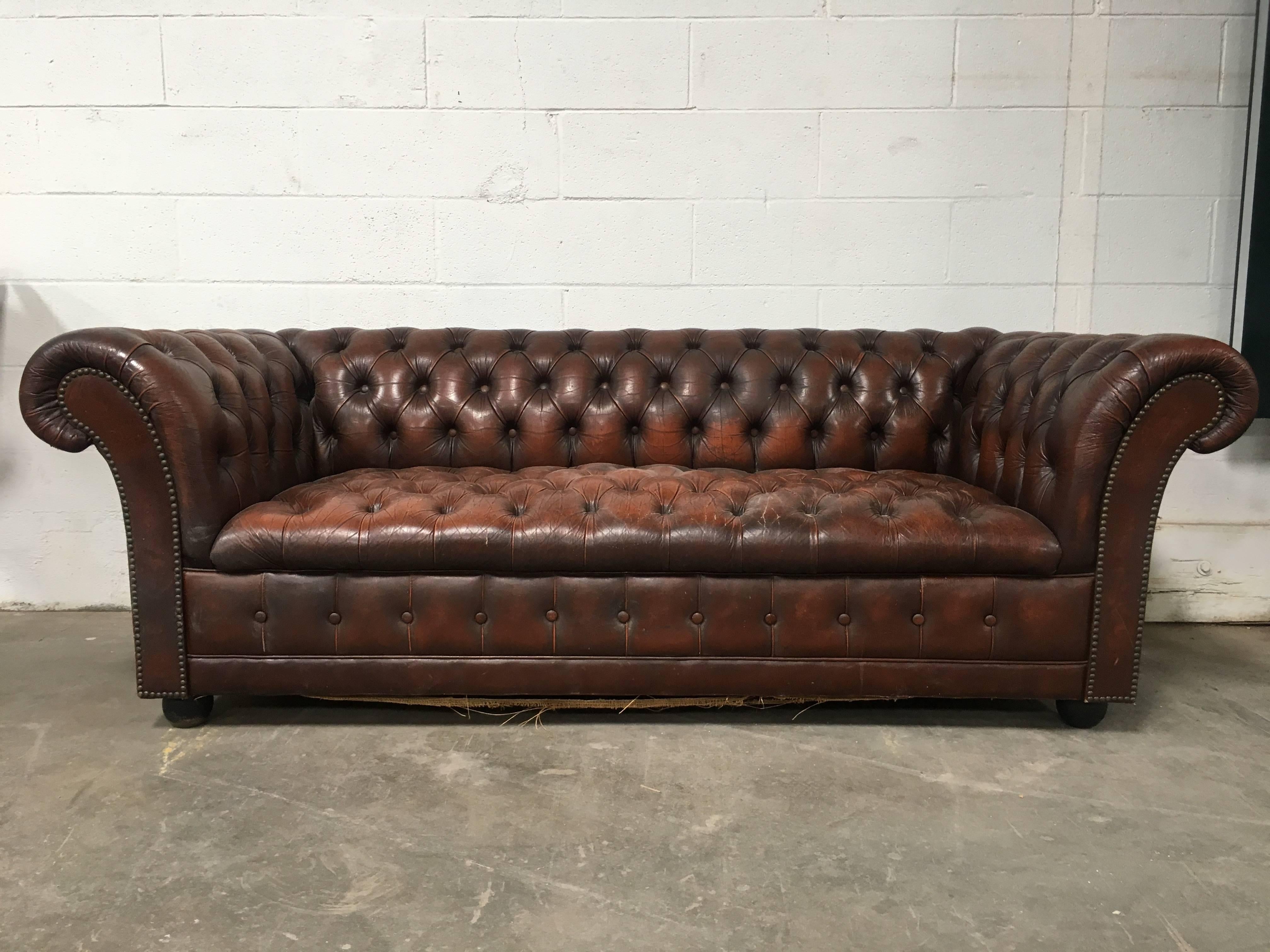 Vintage Chesterfield sofa in tufted brown leather. Shapely, curved arm rests with nailhead trim. Seat depth: 21