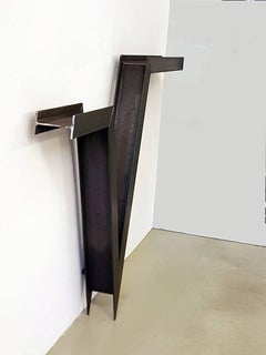 Customizable Squared-Root-Shaped Transparent Powder-Coated IPE Console