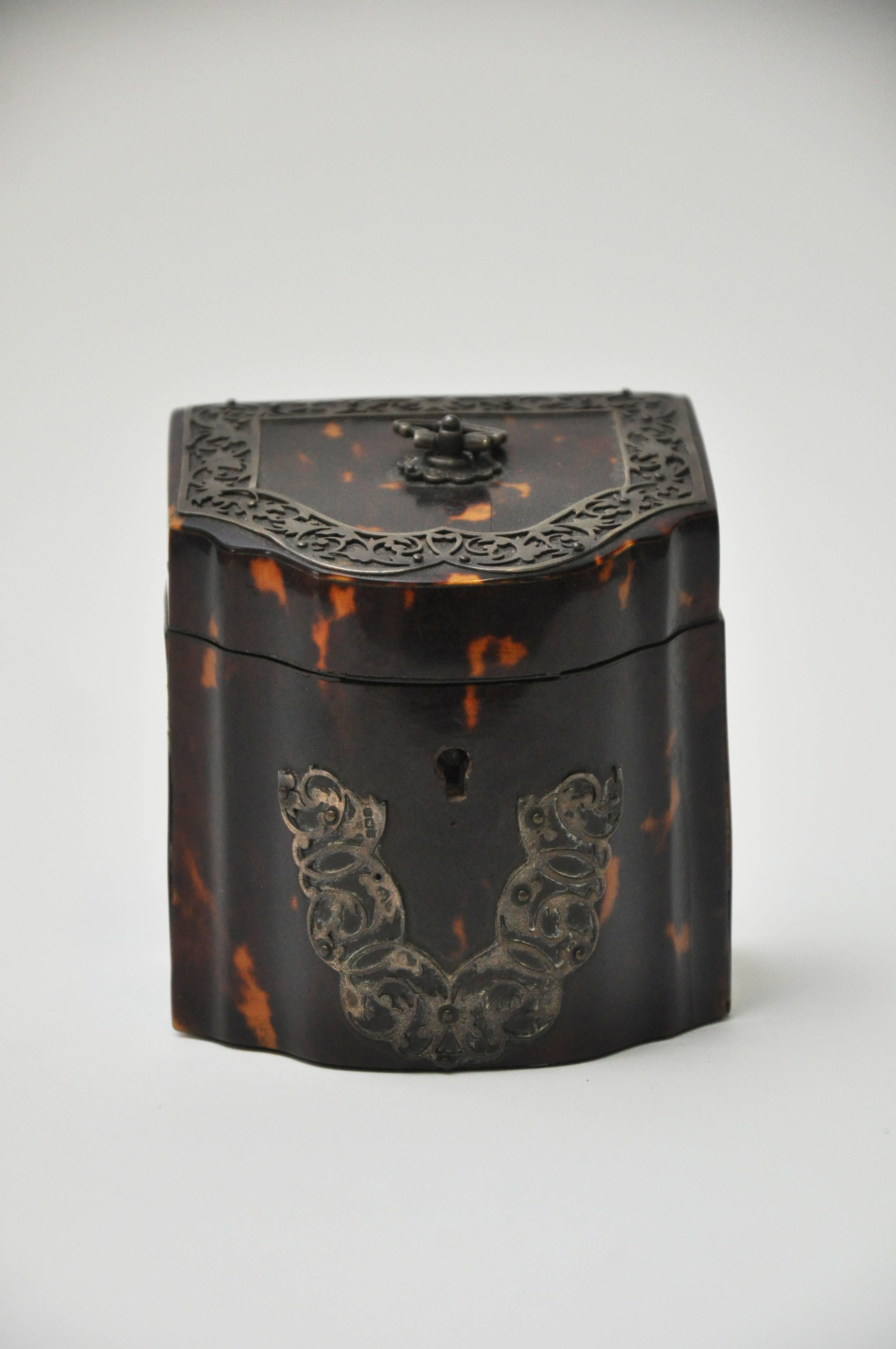 English Rare 19th Century Tortoiseshell Tea Caddy