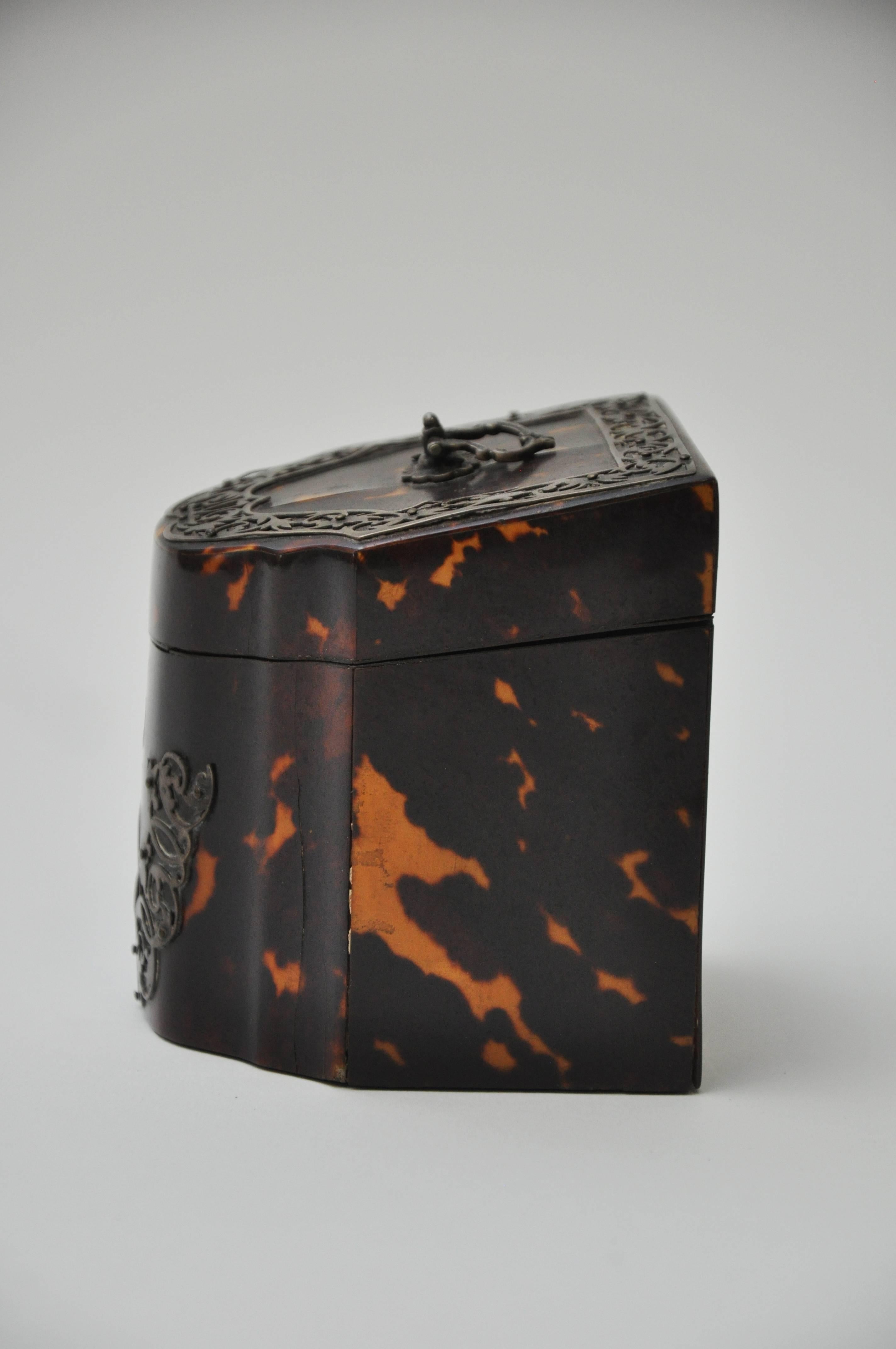 Shell Rare 19th Century Tortoiseshell Tea Caddy