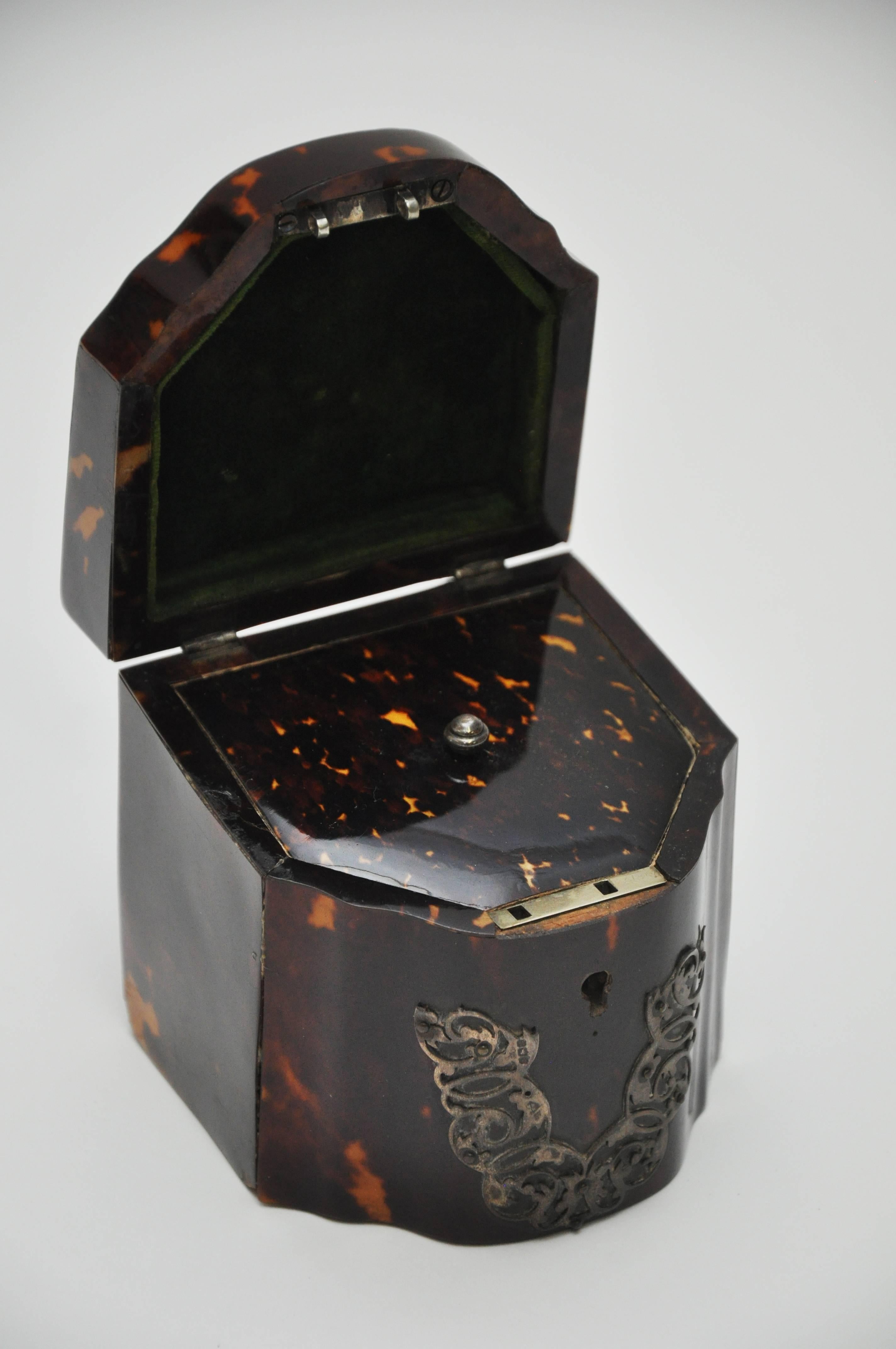 Rare 19th Century Tortoiseshell Tea Caddy 3